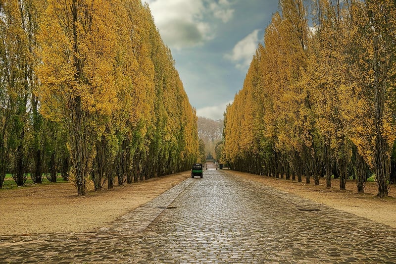 Palace of Versailles